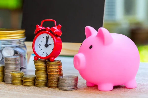 Pig piggy bank and coins and clock on nature blur background. saving money concept.