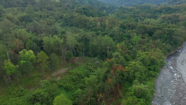 Images aériennes de drone de beau village rural avec forêt verte et rivière propre 