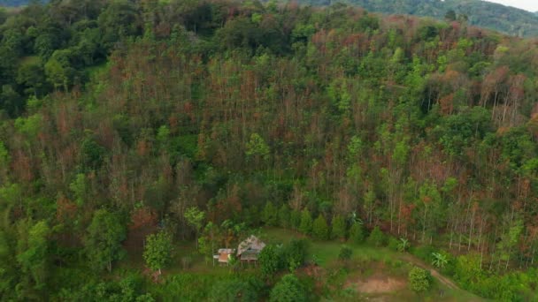 美丽乡村的空中无人机画面 绿林清澈的河流 — 图库视频影像