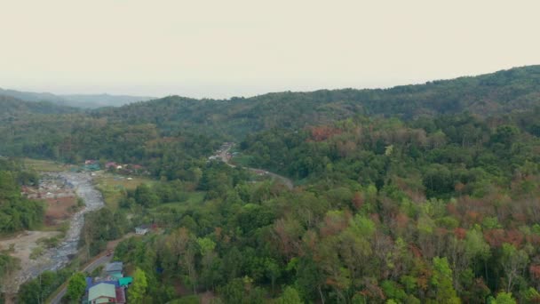 Rekaman Drone Udara Desa Yang Indah Dengan Hutan Hijau Dan — Stok Video