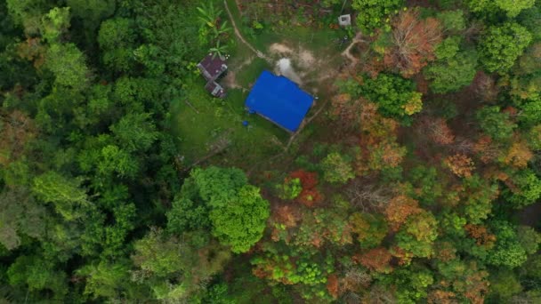 Съемка Воздушного Дрона Красивой Сельской Деревни Зеленым Лесом Чистой Рекой — стоковое видео