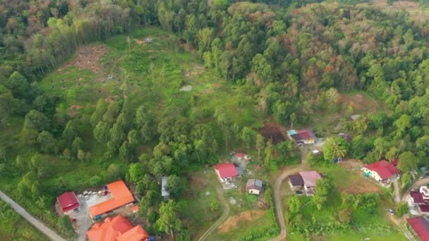 Images aériennes de drone de beau village rural avec forêt verte et rivière propre 