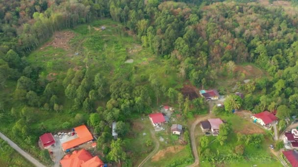 Αεροπλάνο Drone Του Όμορφου Αγροτικού Χωριού Πράσινο Δάσος Και Καθαρό — Αρχείο Βίντεο