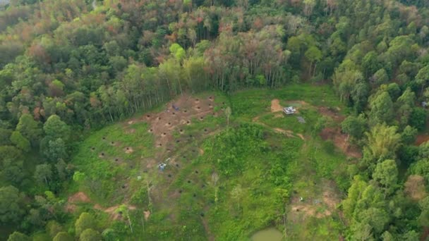 Images aériennes de drone de beau village rural avec forêt verte et rivière propre 