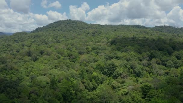 Aerial Drone Materiał Wideo Oszałamiające Piękne Głębokie Dżungli Lasów Deszczowych — Wideo stockowe