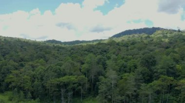 Borneo adasının çarpıcı, derin yağmur ormanlarının hava aracı görüntüleri..