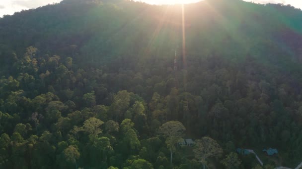 Borneo Adasının Çarpıcı Derin Yağmur Ormanlarının Hava Aracı Görüntüleri — Stok video