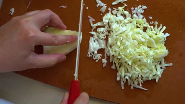 Lokale Levensstijl Huisvrouw Gesneden Groenten Kool Snijplank Voor Het Doen — Stockvideo