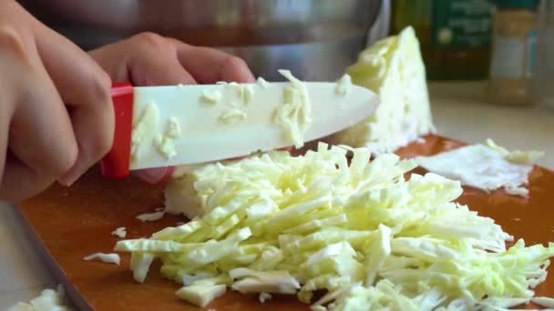 Yerel Hayat Tarzı Hanımı Salata Yapmak Için Sebze Doğruyor Lahana — Stok video