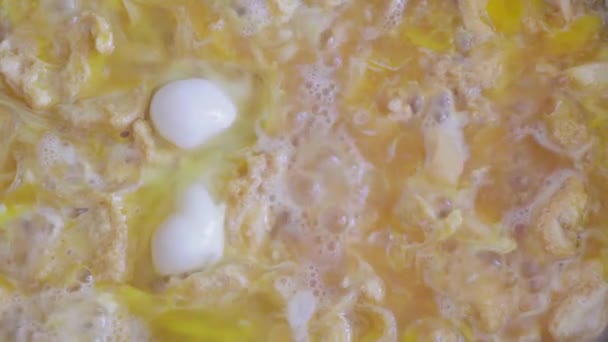 家庭主妇用铁锅煎鸡蛋 — 图库视频影像