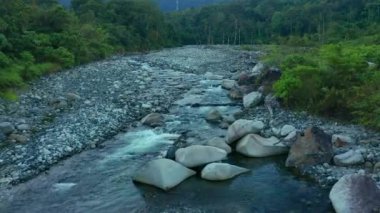 Yeşil ormanı ve temiz nehri olan güzel köy insansız hava aracı görüntüleri.