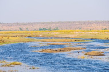 Chobe River landscape, view from Caprivi Strip on Namibia Botswana border, Africa. Chobe National Park, famous wildlilfe reserve and upscale travel destination. clipart