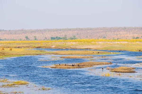 Paisagem do rio Chobe, vista da Faixa de Caprivi na fronteira com a Namíbia Botsuana, África. Chobe National Park, famosa reserva de vida selvagem e destino de viagem de luxo . — Fotografia de Stock