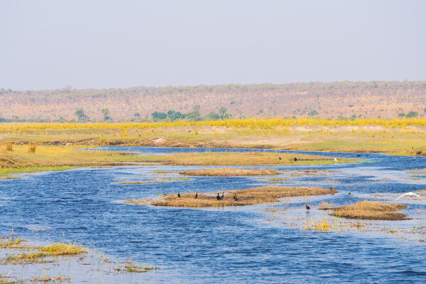 Chobe River landscape, view from Caprivi Strip on Namibia Botswana border, Africa. Chobe National Park, famous wildlilfe reserve and upscale travel destination.