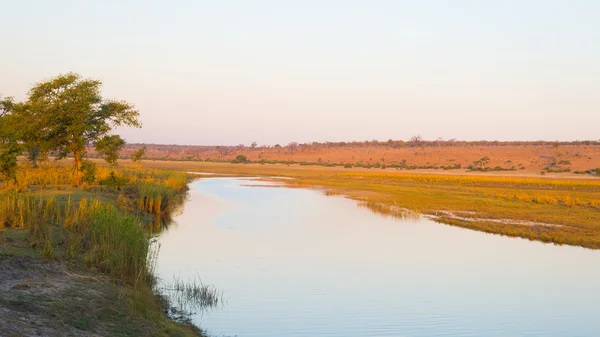 Paisagem do rio Chobe, vista da Faixa de Caprivi na fronteira com a Namíbia Botsuana, África. Chobe National Park, famosa reserva de vida selvagem e destino de viagem de luxo . — Fotografia de Stock