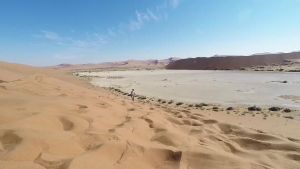 Görkemli Namib Çölü, Sossusvlei, Namib Naukluft Milli Parkı, ana ziyaretçi cazibe ve seyahat hedef Namibya yürüyen turist. Afrika macera. — Stok video