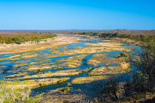 Rio Olifants, paisagem cênica e colorida com vida selvagem no Parque Nacional Kruger, famoso destino de viagem na África do Sul. Céu azul claro . — Fotografia de Stock