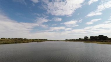 Olifants Nehri, doğal ve renkli yatay, yaban hayatı Kruger National Park, ünlü seyahat hedef Güney Afrika. Açık mavi gökyüzü.