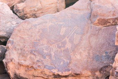 Ünlü Tarih öncesi kaya kabartmaları Twyfelfontein, turistik ve Namibya, Afrika seyahat hedef.