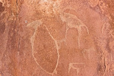Ünlü Tarih öncesi kaya kabartmaları Twyfelfontein, turistik ve Namibya, Afrika seyahat hedef.