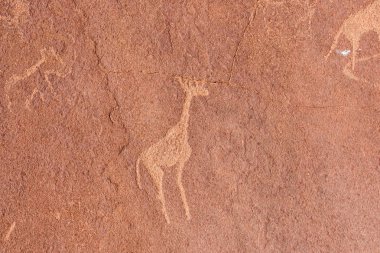 Ünlü Tarih öncesi kaya kabartmaları Twyfelfontein, turistik ve Namibya, Afrika seyahat hedef.