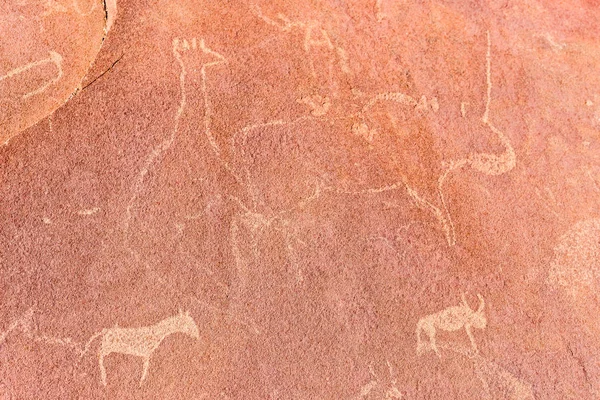 Ryciny prehistoryczne na słynną skałę o Twyfelfontein, atrakcji turystycznych i podróży w Namibia, Afryka. — Zdjęcie stockowe