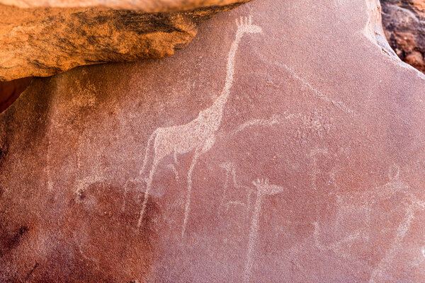 The famous prehistoric rock engravings at Twyfelfontein, tourist attraction and travel destination in Namibia, Africa.