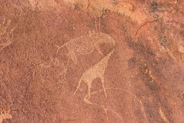 Los famosos grabados rupestres prehistóricos en Twyfelfontein, atracción turística y destino turístico en Namibia, África . — Foto de Stock