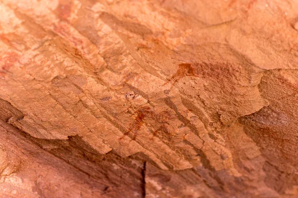 Los famosos grabados rupestres prehistóricos en Twyfelfontein, atracción turística y destino turístico en Namibia, África . — Foto de Stock