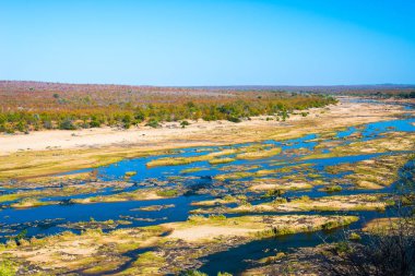 Olifants Nehri, doğal ve renkli yatay, yaban hayatı Kruger National Park, ünlü seyahat hedef Güney Afrika. Açık mavi gökyüzü.