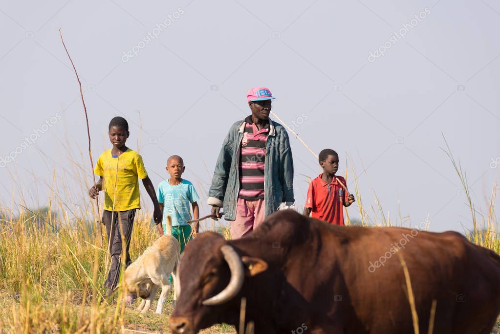 Ngoma, Namibia August 16, 2016 Hard rural life in the African