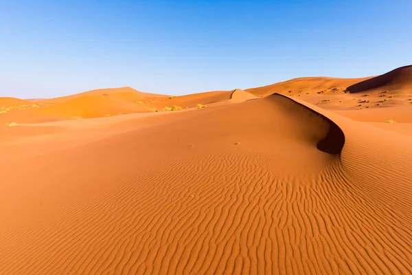 Doğal sırtlar Sossusvlei, Namib Naukluft Milli Parkı, kum tepeleri Turizm en iyi ve Namibya cazibe seyahat. Macera ve keşif Afrika. — Stok fotoğraf