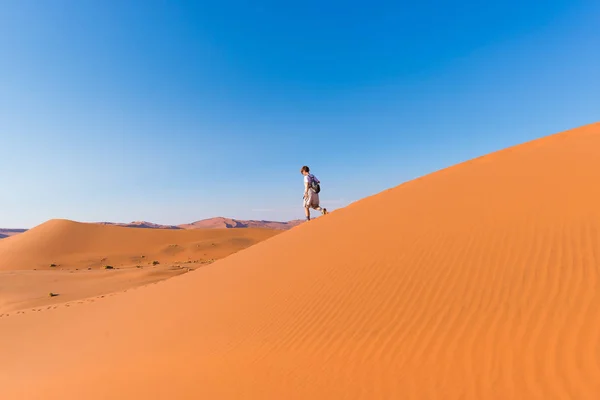 Τουριστικές περπατώντας στην γραφική στους αμμόλοφους του Σοσουσβλάι, έρημο Namib, εθνικού πάρκου Namib Naukluft, Ναμίμπια. Φως το απόγευμα. Περιπέτεια και εξερεύνηση στην Αφρική. — Φωτογραφία Αρχείου