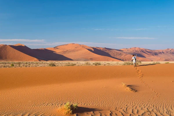 Τουριστικές περπατώντας στην γραφική στους αμμόλοφους του Σοσουσβλάι, έρημο Namib, εθνικού πάρκου Namib Naukluft, Ναμίμπια. Φως το απόγευμα. Περιπέτεια και εξερεύνηση στην Αφρική. — Φωτογραφία Αρχείου