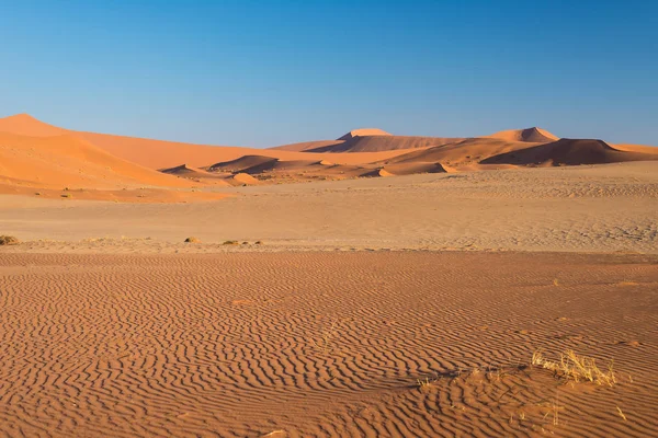 Turisztikai séta a festői homokdűnék, Sossusvlei, Namíb-sivatag, Namíb Naukluft nemzeti parkban, Namíbia. Délután könnyű. Kaland és az exploration az Afrika. — Stock Fotó