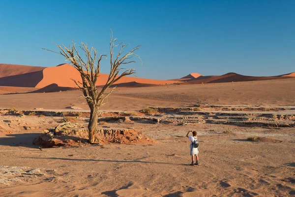 Touriste prenant des photos au pittoresque Acacia tressé entouré de majestueuses dunes de sable à Sossusvlei, désert du Namib, Namib Naukluft National Park, Namibie. Aventure et exploration en Afrique . — Photo