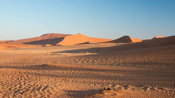 Escénicas crestas de dunas de arena en Sossusvlei, Namib Naukluft National Park, la mejor atracción turística y turística de Namibia. Aventura y exploración en África . — Foto de Stock