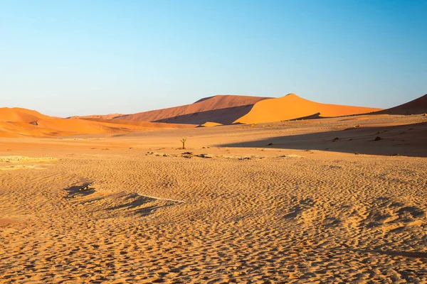 Cumes cênicos de dunas de areia em Sossusvlei, Namib Naukluft National Park, melhor atração turística e de viagem na Namíbia. Aventura e exploração em África . — Fotografia de Stock