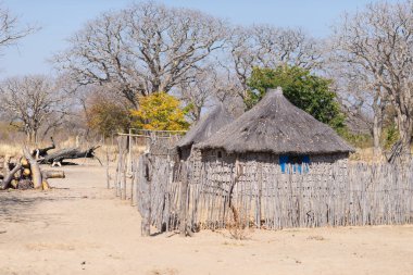 Çamur saman ve çalılıklarda sazdan çatılı ahşap kulübe. Caprivi Bulvarı 'ndaki yerel köy, Namibya, Afrika' nın en kalabalık bölgesi..