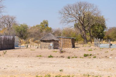 Çamur saman ve çalılıklarda sazdan çatılı ahşap kulübe. Caprivi Bulvarı 'ndaki yerel köy, Namibya, Afrika' nın en kalabalık bölgesi..