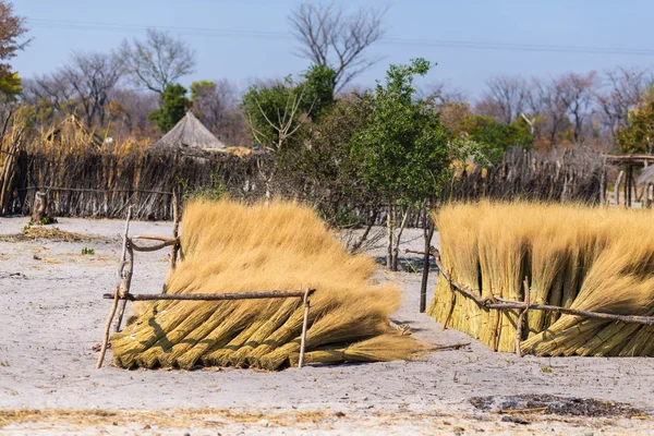 Słoma błotna i drewniana chata z strzechą w krzakach. Miejscowa wieś na wsi Caprivi Strip, najbardziej zaludniony region w Namibii, Afryka. — Zdjęcie stockowe