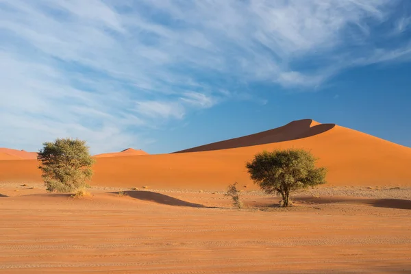 Les pittoresques Sossusvlei et Deadvlei, poêle en argile et sel avec des arbres tressés d'Acacia entourés de majestueuses dunes de sable. Parc national de Namib Naukluft, principale attraction touristique et destination de voyage en Namib — Photo