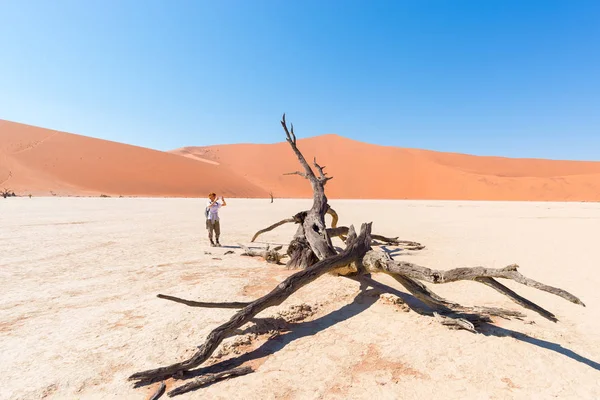 Turista tirando foto no cénico trançado Acacia árvore cercada por dunas de areia majestosas em Sossusvlei, deserto de Namib, Namib Naukluft National Park, Namíbia. Aventura e exploração em África . — Fotografia de Stock