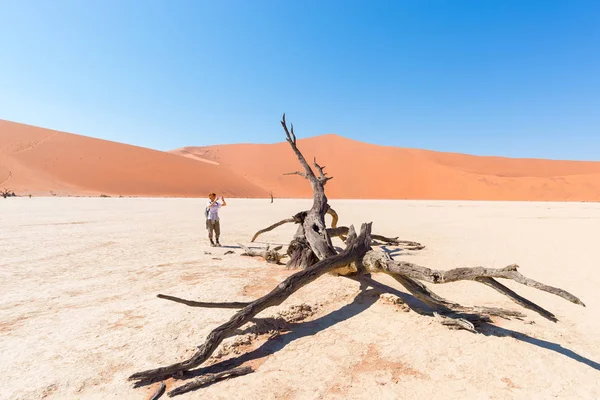 Turystyczna biorąc zdjęcie w scenic pleciony akacji, otoczony przez majestatyczne wydmy w Sossusvlei, pustynia Namib, Park Narodowy Namib Naukluft, Namibia. Przygody i eksploracji w Afryce. — Zdjęcie stockowe