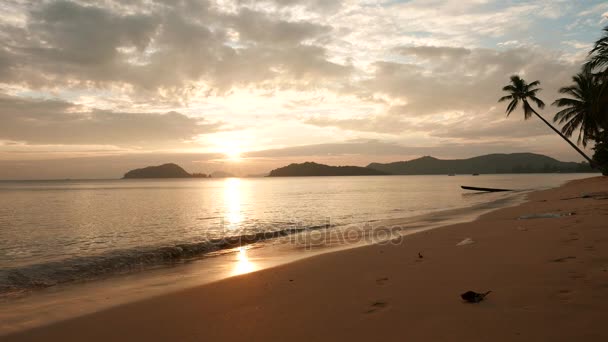 Sonnenuntergang über tropischem Strand mit gewundenen Palmen und stimmungsvollem Himmel. koh mak, aufstrebendes Reiseziel in Thailand. — Stockvideo