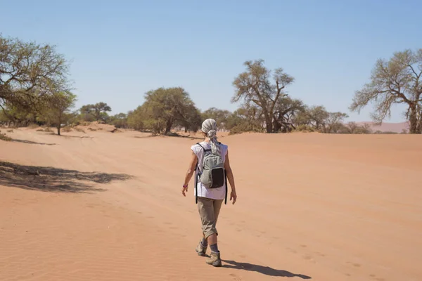 Turista caminando por las dunas pintorescas de Sossusvlei, desierto de Namib, Parque Nacional de Namib Naukluft, Namibia. Luz de la tarde. Aventura y exploración en África . — Foto de Stock