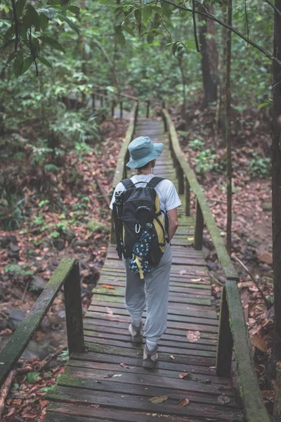 Mochilero explorando la majestuosa selva del Parque Nacional Kubah, West Sarawak, Borneo, Malasia . — Foto de Stock