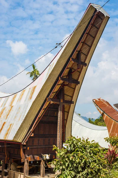 Traditional village of residential buildings with decorated facade and boat shaped roofs. Tana Toraja, South Sulawesi, Indonesia. — Stock Photo, Image