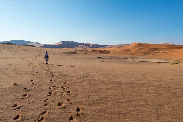 Tourist walking on the scenic dunes of Sossusvlei, Namib desert, Namib Naukluft National Park, Namibia. Adventure and exploration in Africa. — Stock Photo, Image