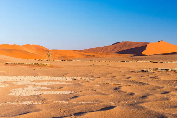 The scenic Sossusvlei and Deadvlei, clay and salt pan with braided Acacia trees surrounded by majestic sand dunes. Namib Naukluft National Park, main visitor attraction and travel destination in Namib — Stock Photo, Image